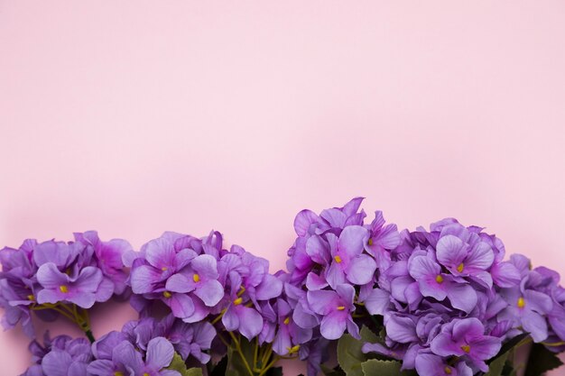 Flores florecientes en el espacio de copia