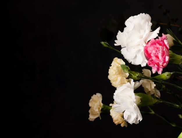 Flores florecientes en el espacio de copia