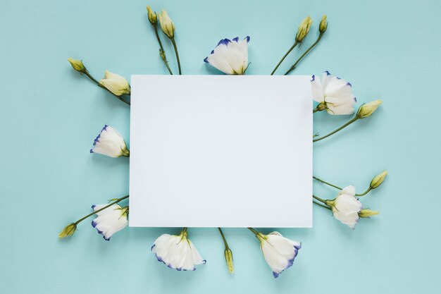 Flores florecientes de primavera que rodean un trozo de papel vacío