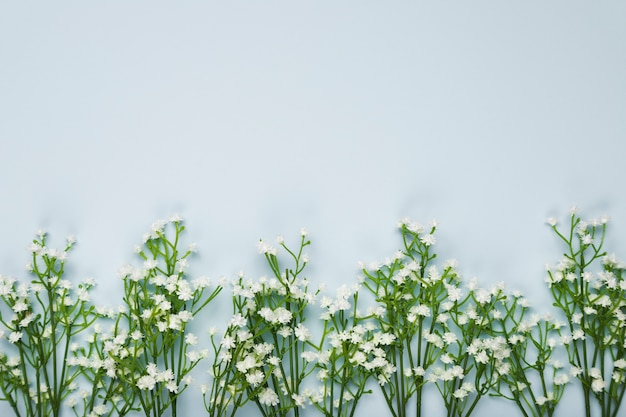 Flores de flores planas con espacio de copia