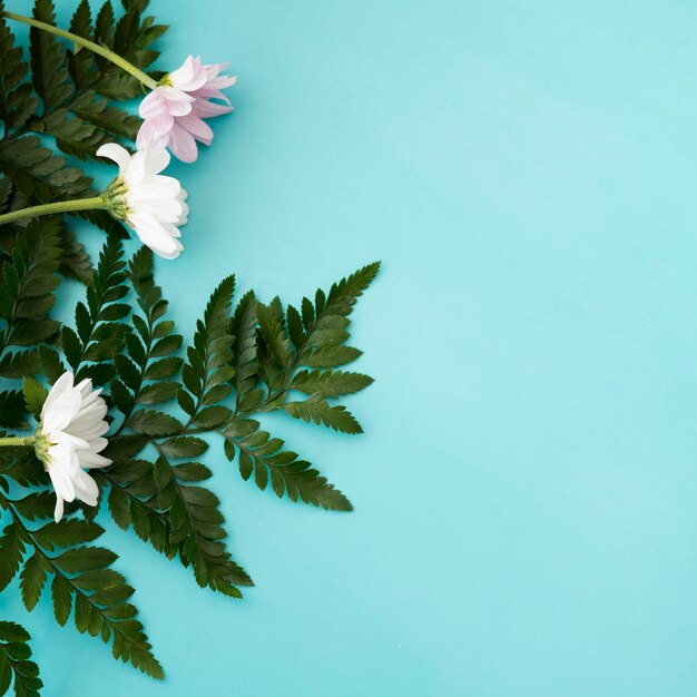 Flores en fondo azul con espacio a la derecha