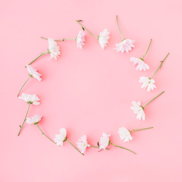 Foto gratuita flores formando circulo en fondo rosa