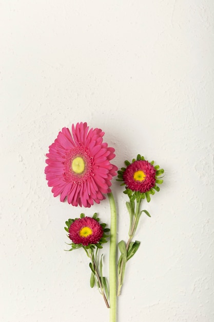 Foto gratuita flores frescas femeninas con espacio de copia