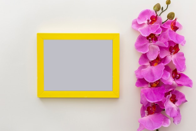 Flores frescas rosadas de la orquídea con el marco en blanco vacío de la foto en la superficie blanca