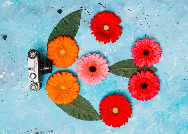 Flores de gerbera brillante con cámara en mesa