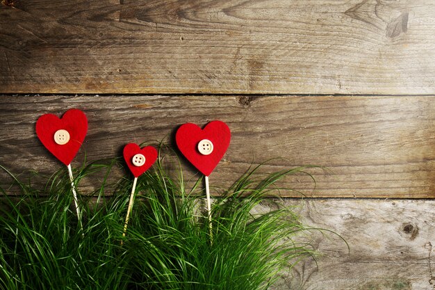 Flores hermosas de los corazones en la hierba verde, el día de tarjeta del día de San Valentín o el concepto del amor.