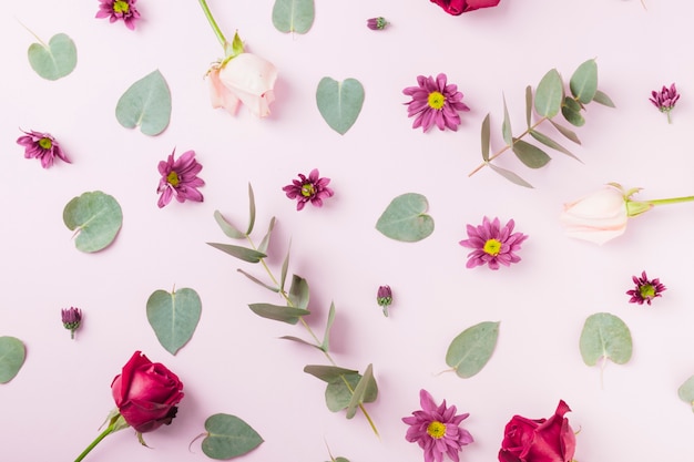 Foto gratuita flores y hojas verdes sobre fondo rosa