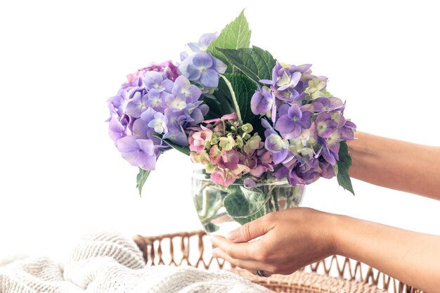 Foto gratuita flores de hortensia en un jarrón en manos femeninas sobre un fondo claro