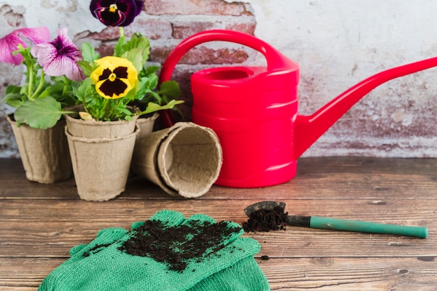 Foto gratuita flores de jardinería en macetas de turba; regadera; pala y guantes de jardinería en mesa de madera.