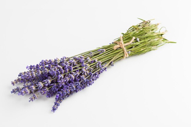 Flores de lavanda aisladas sobre fondo blanco