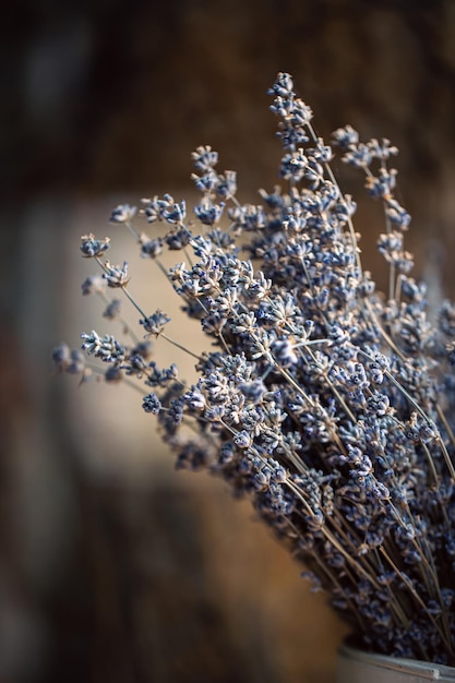 Foto gratuita flores de lavanda secas en un jarrón de fondo borroso