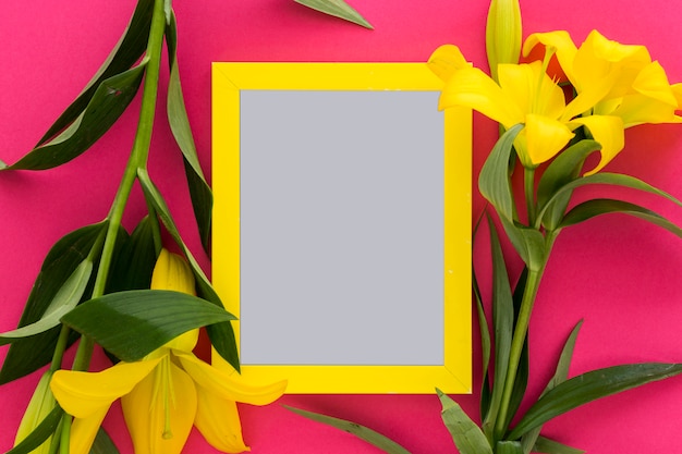 Flores de lirio amarillo y marco de fotos en blanco sobre el rosa; fondo