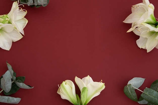 Flores de lirio sobre un fondo rojo oscuro espacio de copia plana