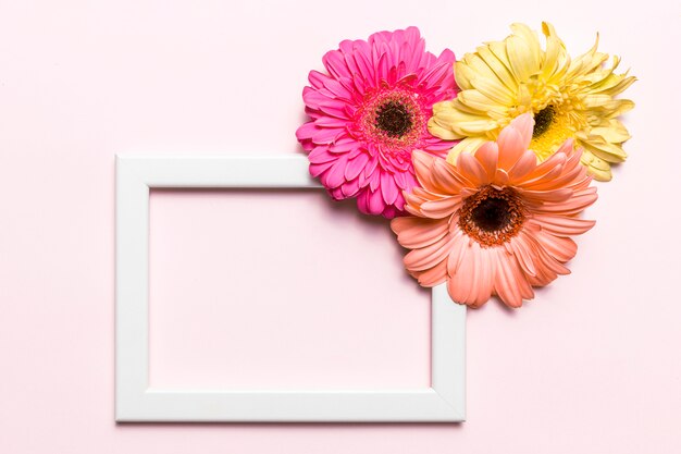 Flores y marco