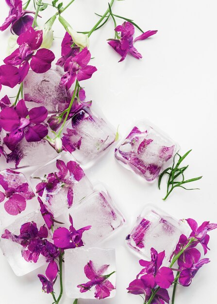 Flores moradas en cubos de hielo.