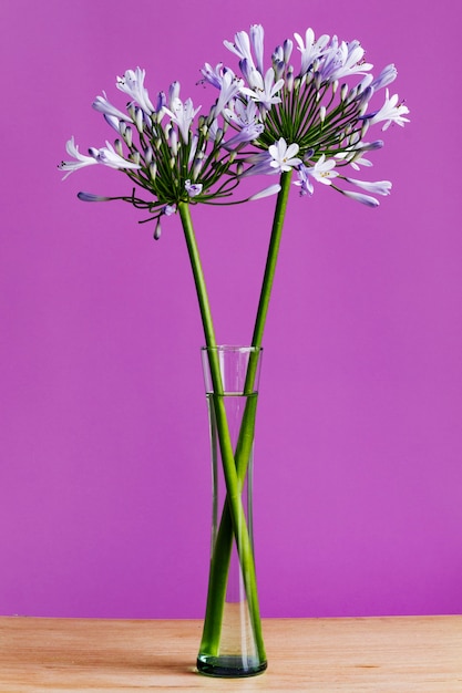 Flores moradas en un jarrón de cristal