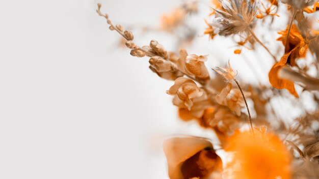 Flores de otoño con copyspace