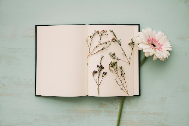 Flores en las páginas del cuaderno