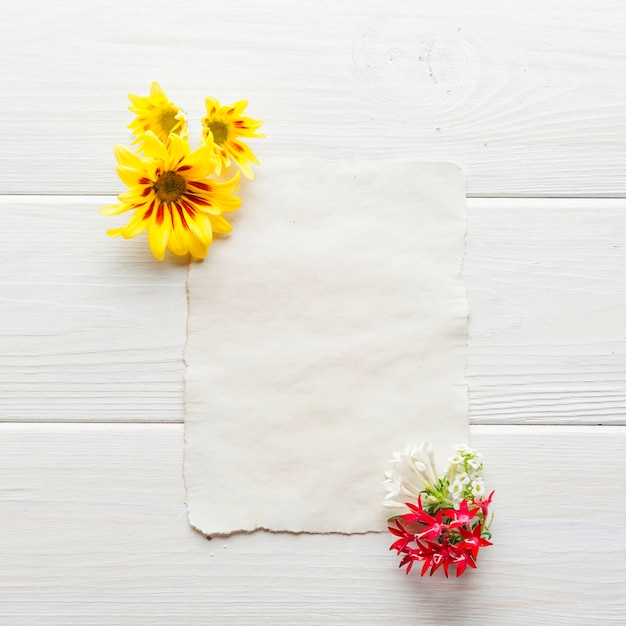 Flores y papel en blanco