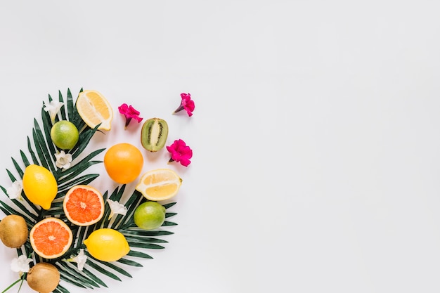 Flores pequeñas cerca de cítricos y hojas