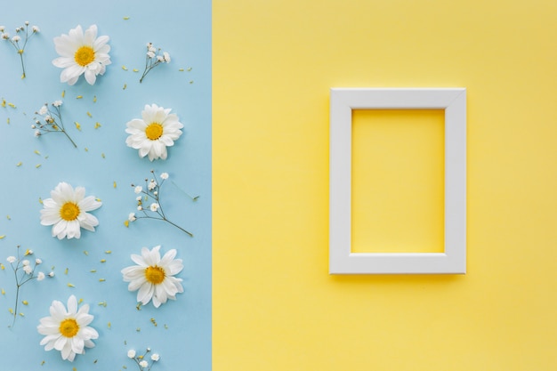 Flores; Pétalo y polen con marco de fotos en blanco blanco sobre doble fondo