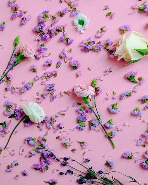 Flores con pétalos de color púrpura sobre fondo rosa