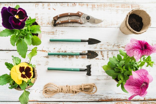 Foto gratuita flores de petunia y pensamiento con herramientas de jardinería; maceta de turba y cuerda en el escritorio de madera