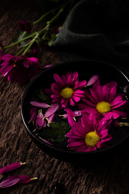 Flores de primavera de alto ángulo