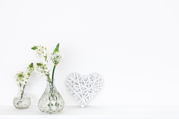 Flores de primavera en jarrones de vidrio aislado sobre fondo blanco.