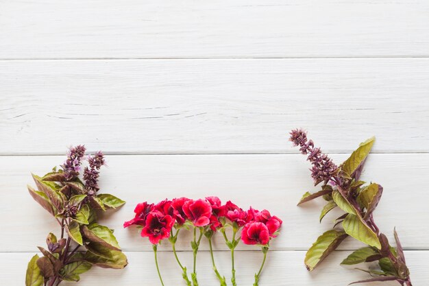 Flores púrpuras y rojas