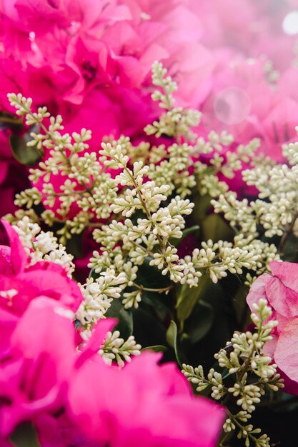 Flores rosadas con hojas verdes