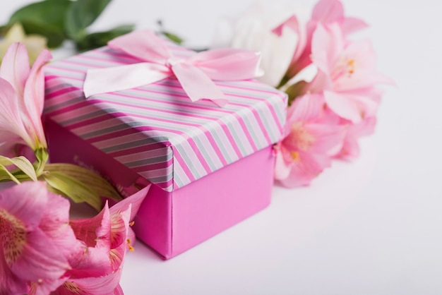 Flores rosadas del lirio de agua con la caja de regalo en el fondo blanco