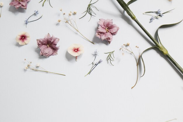 Flores rosadas en mesa blanca