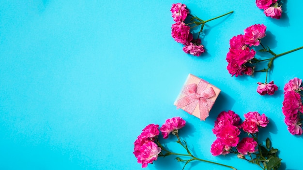 Flores rosadas y regalo sobre fondo azul