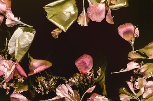 Flores rosas en agua negra