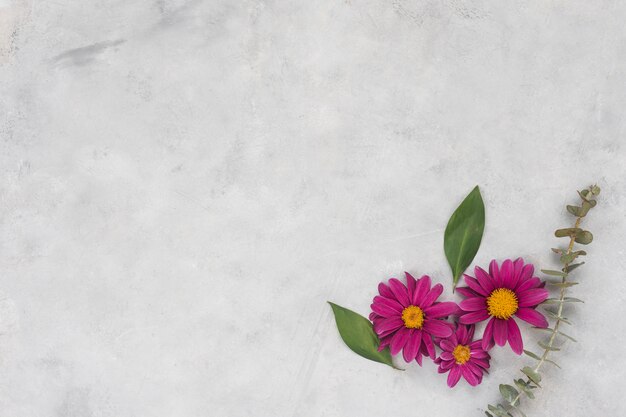 Flores rosas con hojas en mesa gris.