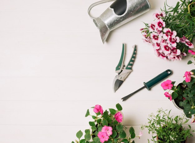 Flores rosas con instrumentos de jardinería.