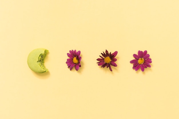 Foto gratuita flores rosas con macarrones mordidos en mesa.