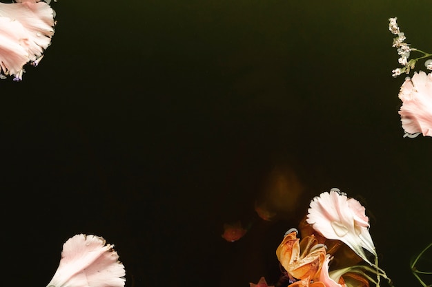 Flores rosas y naranjas en agua negra con espacio de copia