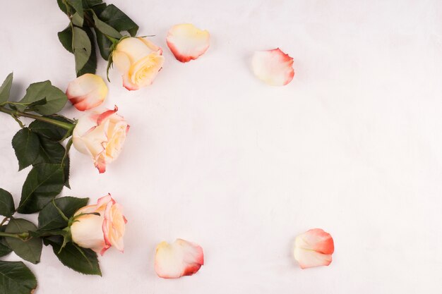 Flores rosas con pétalos en mesa.