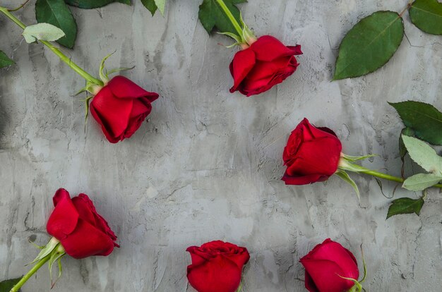 Flores de rosas rojas