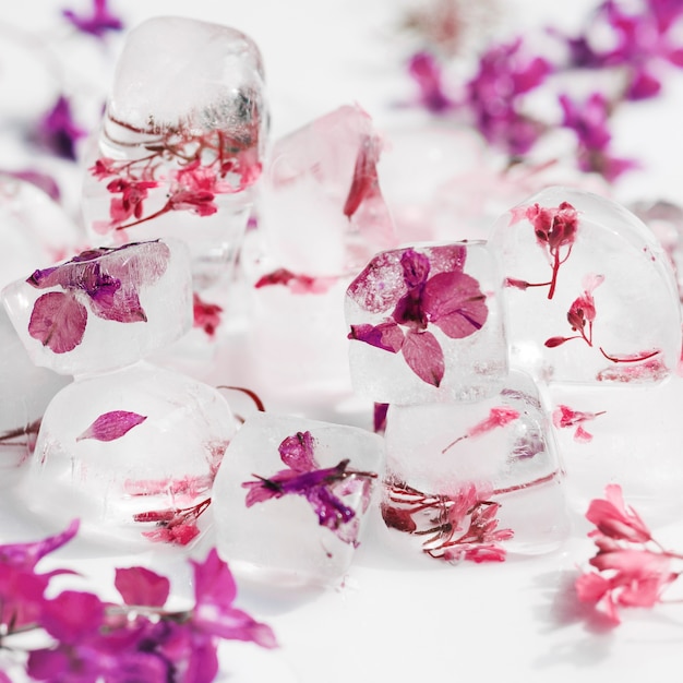 Foto gratuita flores rosas y violetas en cubitos de hielo.
