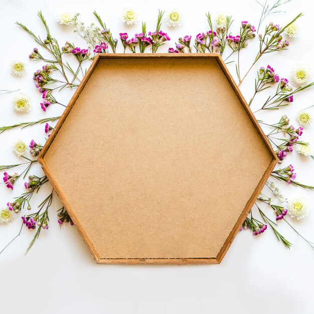 Flores silvestres alrededor del marco hexagonal