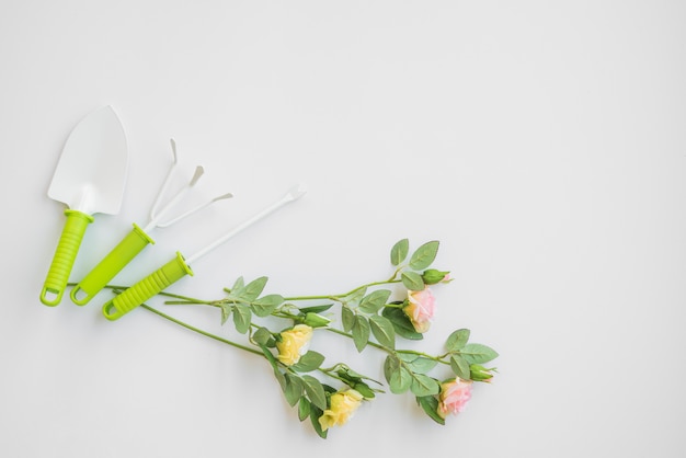 Flores tiradas cerca de herramientas de jardinería