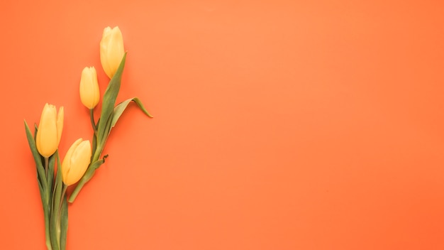 Flores de tulipán amarillo en mesa naranja