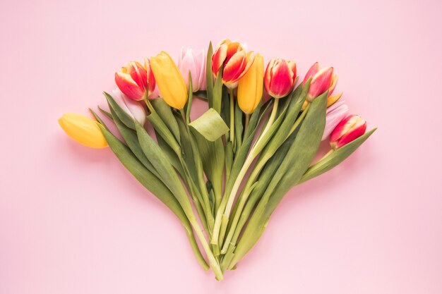 Flores de tulipán brillantes en mesa rosa