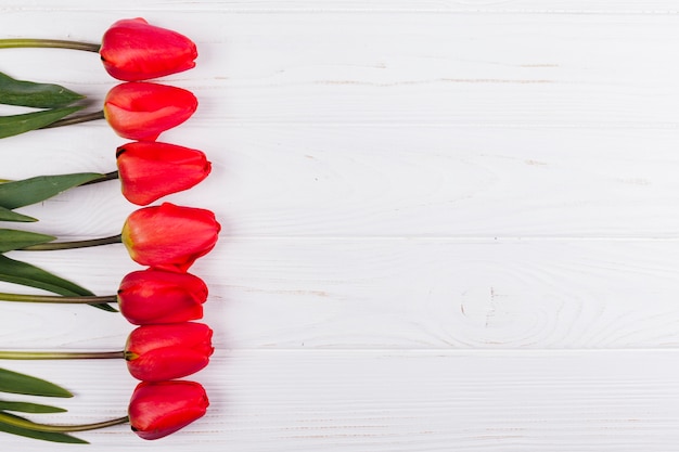 Flores de tulipán decorativas