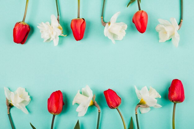 Flores de tulipán decorativas