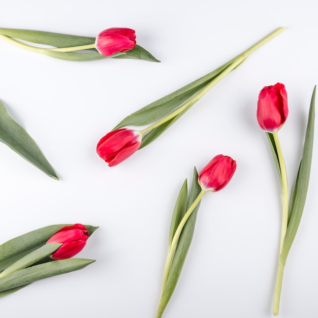 Flores de tulipán rojo en mesa blanca