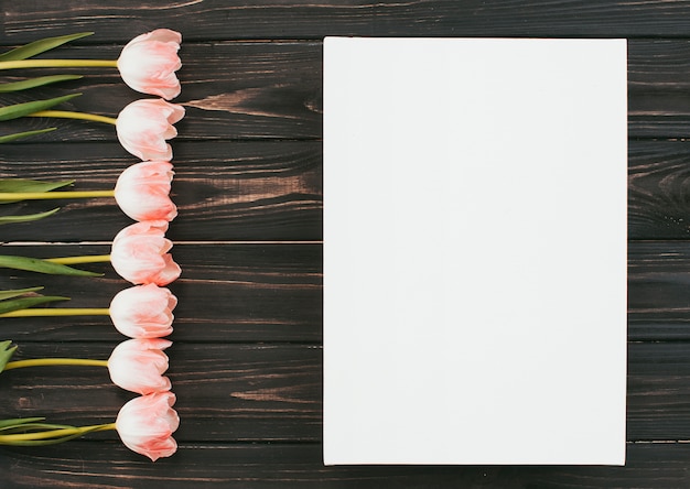 Flores de tulipán rosa con papel sobre mesa